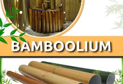Bamboolium3